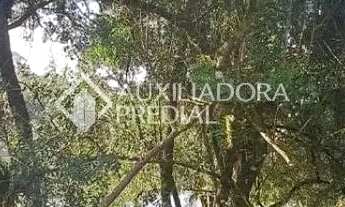 Imagem 4: Terreno em Gramado com projeto aprovado vista lago