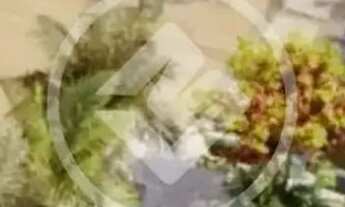 Imagem 3: Apartamento com 1 suíte e lavabo, ótima localização no Centro de Florianópolis - SC codigo