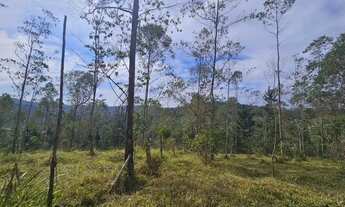 Imagem 4: Terreno com boa topografia em Juquitiba