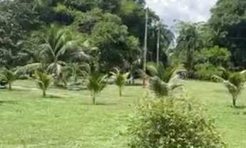 Imagem 6: Sítio 200 x 1.000 com 12 viveiro peixe Manuel Urbano 1.600.000