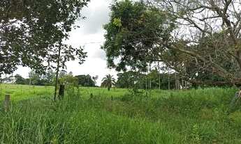 Imagem 5: Área rural 20000m2 em Ouro Verde só R$ 400 mil