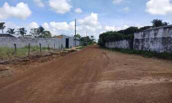 Imagem 2: Imperdível, chácaras no Daiana 1250m², 2500m e 5000m, plana, energia, 600m do asfalto, con