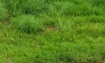 Imagem 6: Excelente área de 386 m2 no Anápolis City II Etapa o Bairro Anápolis City - Anápolis - GO