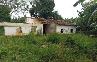 Imagem 7: Área rural 20000m2 em Ouro Verde só R$ 400 mil