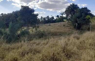 Imagem 4: Chácara para venda 6 alqueires em Zona Rural - Anicuns - GO