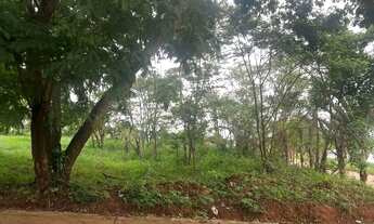 Imagem 2: LOTES À VENDA EM GOIANIRA Lote à Venda, 351.05 por R$ 78000.00 no setor Parque DAS CAMELIA