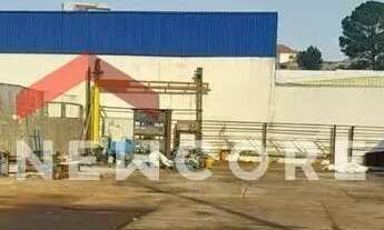 Imagem: Lote em Rua Itaquera - Jardim Stella - Santo