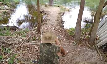 Imagem 4: FAZENDA À VENDA 37,5 HECTARES MAMBAÍ/GO