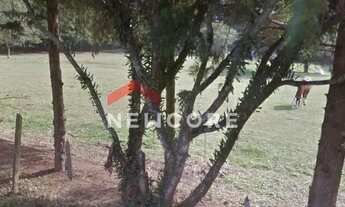 Imagem 2: Lote em Rua Lourenço Jankowski - Passaúna - Araucária/PR