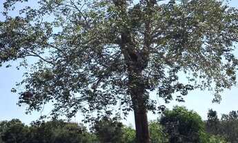 Imagem 6: Terreno em Morada da Barra - Vila Velha, ES