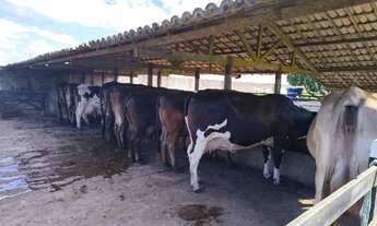 Imagem 6: Terreno fazenda Real IV