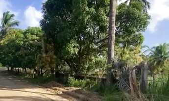 Imagem 7: Lote a venda no loteamento Mar azul - Paripueira - AL