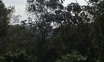 Imagem 3: Chácara com piscina em Mairipora