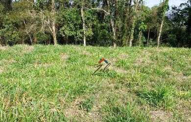 Imagem 4: Terreno à venda, 1003 m² por R$ 200.000,00 - Condomínio Bothanica Jarinu - Jarinu/SP