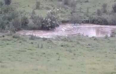 Imagem 3: Área de Terra à venda em Área Rural de Monte Mor, Monte Mor - SP