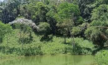 Imagem 3: Belíssima propriedade a venda