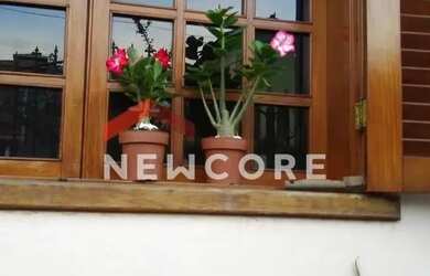 Imagem 5: Casa em Rua Comandante Ary Lopes - Santa Amélia - Belo Horizonte/MG