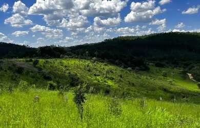Imagem: LOTES BEM PRÓXIMOS DE TERRA PRETA