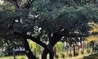 Imagem: Excelente lote em Jaboticatubas, Canto da