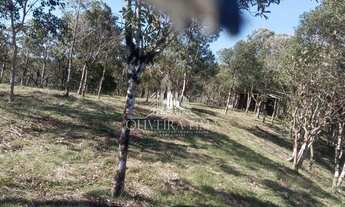 Imagem 7: Chácara com 2 Dormitorio(s) localizado(a) no bairro Área Rural de São José dos Pinhais em