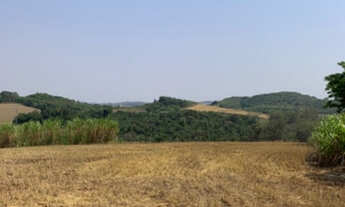 Imagem 5: Chácaras em loteamento estância colina do sol