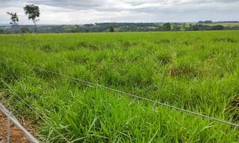 Imagem: Chácara em Bela Vista próximo a Roselândia