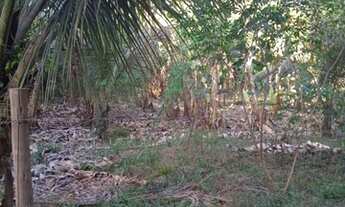 Imagem 7: Chácaras no Horto Baratinha