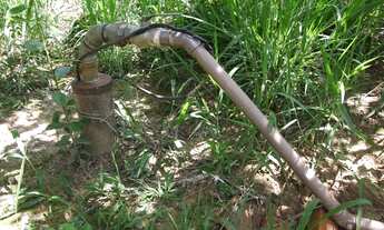 Imagem 5: Sítio de 9 hectares (90.000 m²) em Curvelo/MG