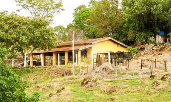 Imagem 2: São João da Boa Vista - Sítio - Área Rural de São João da Boa Vista