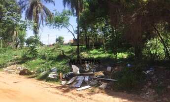 Imagem 7: Terreno plano,com toda infra estrutura ,sem vegetação.Ao lado da Av. das Bandeiras