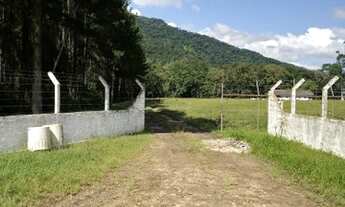 Imagem 4: Casa para aluguel no bairro Tomaselli - Schroeder - SC