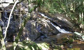 Imagem 5: Sítio com 2 dormitórios à venda, 228448 m² por R$ 1.350.000,00 - Zona Rural - Pinhalzinho