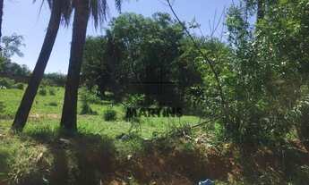 Imagem 5: Terreno plano,com toda infra estrutura ,sem vegetação.Ao lado da Av. das Bandeiras