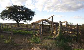 Imagem 6: Terreno de 220 hectares em Curvelo