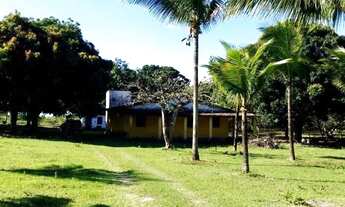 Imagem 5: Santo Amaro Recôncavo baiano excelente localização para fins comerciais, industriais etc