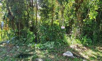 Imagem 3: Lote/Terreno para venda possui 400 metros quadrados em Sertão do Camburi - São Sebastião