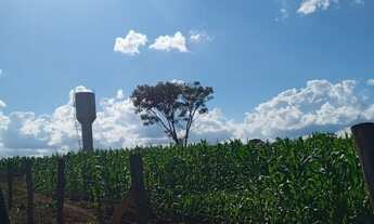 Imagem 2: Sitio em cajuru 2 alqueires 650.000.00