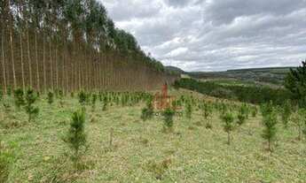 Imagem 4: Sítio à venda, 326700 m² por R$ 1.755.000,00 - Guarei - Guareí/SP