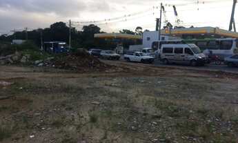Imagem 4: Terreno 4.000 m2 Jd. Presidente Dutra