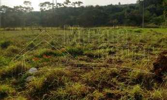 Imagem 6: Venda de Terreno / Área na cidade de Araraquara