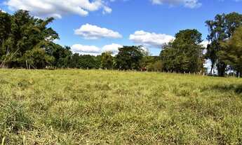 Imagem 2: Haras formado com pista na região de Tietê