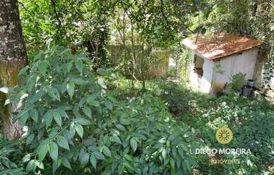 Imagem 4: Casa simples à venda em Terra Preta