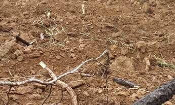 Imagem 4: Lote/Terreno para venda com 380000 metros quadrados em Zona Rural - Morungaba - SP