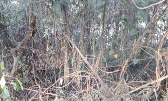 Imagem 3: Lote\Terreno para venda em condomínio Arujá 5 \ Arujá