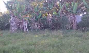 Imagem 2: Fazenda/Sítio/Chácara para venda com 6400 m2 em cocuera