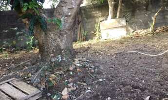 Imagem 2: Terreno para venda no bairro Capuava em Piracaia SP