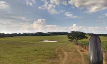 Imagem 6: Fazenda com 58,5 alqueires / lavoura e gado