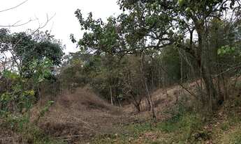 Imagem 6: Área com excelente localização