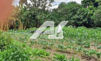 Imagem 5: Chácara - Centro - Porto Ferreira