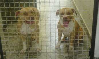 Imagem 2: CASA em Mongaguá - SP, Bal Itaoca Mongaguá